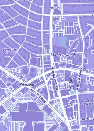 Street map around Dice City Games, Silver Spring