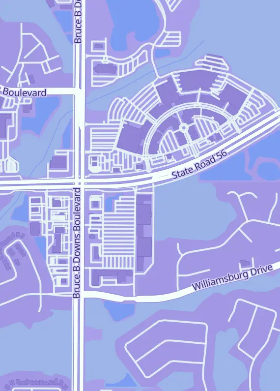 Street map around N4Ytcg, 1936 Bruce B Downs Blvd #214, Wesley Chapel, FL
